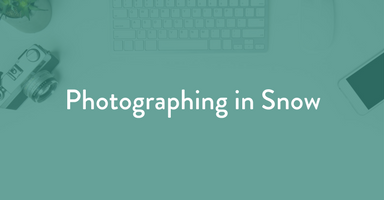 photographing in snow, dog photography, kim hartz