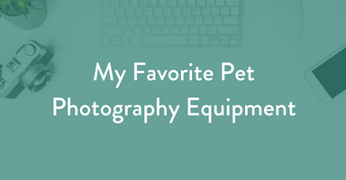 photography equipment, pet photography equipment