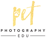 Pet Photography Edu
