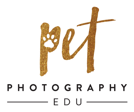 NEW-LOGO-DARK
