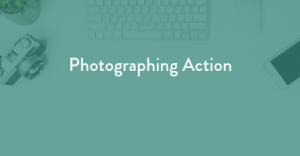 photographing action, pet photography, learn pet photography, photographing pets in action, action photography